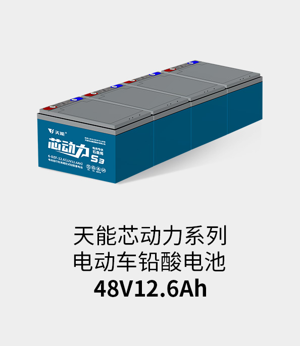 ¼ǲ¼48v12ah