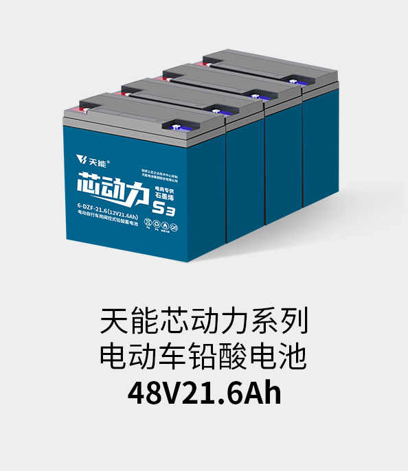 ¼ǲ¼48v20ah