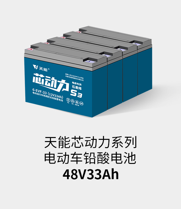 ¼ǲ¼48v32ah