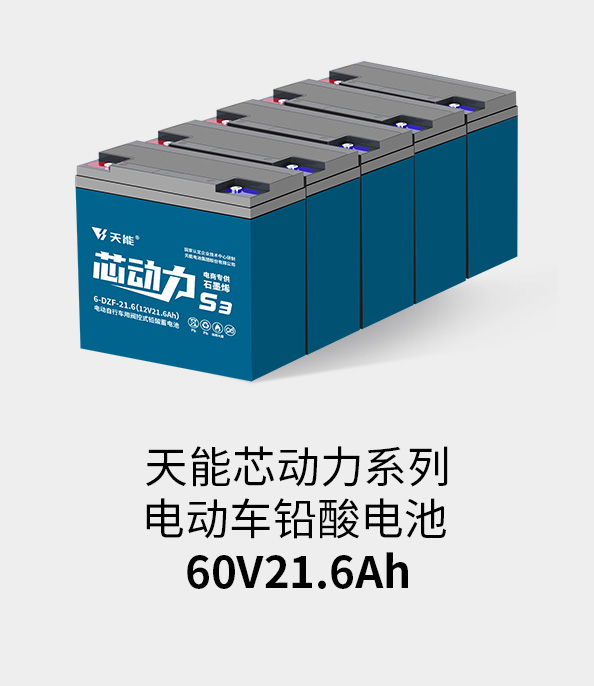 ¼ǲ¼60v20ah