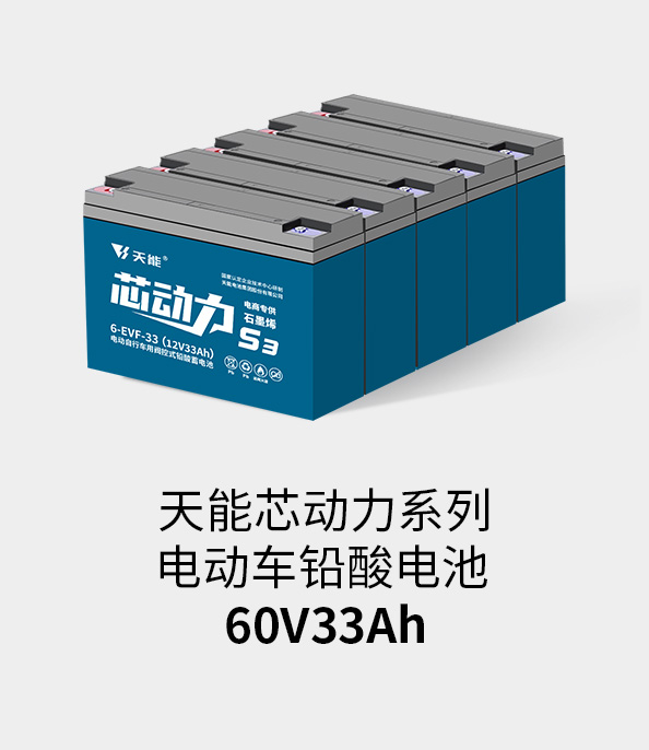 ¼ǲ¼60v33ah
