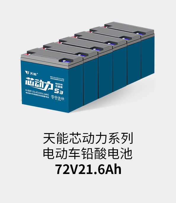 ¼ǲ¼72v20ah