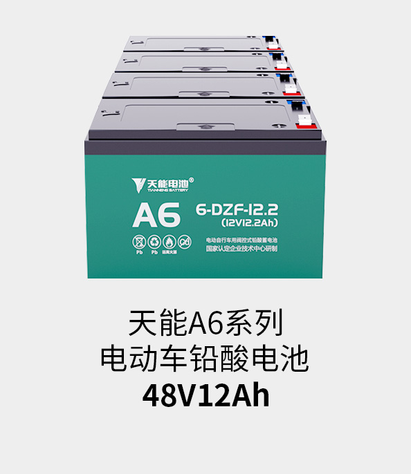 ¼ǲ¼48v12ah